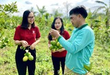 Agribank Quảng Trị và hành trình hiện thực hóa sứ mệnh “tam nông”