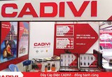 57,6 triệu cổ phiếu CAV của Cadivi sẽ "rời sàn" HoSE từ ngày 18/7