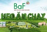 Nông nghiệp BAF tăng vốn lên gần 1.700 tỷ đồng