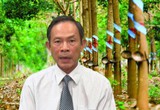 Cao su Việt Nam (GVR): Ông Trần Ngọc Thuận xin từ nhiệm, ước lãi hơn 1.100 tỷ đồng trước thuế sau 5 tháng