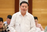 Thứ trưởng Bộ TN-MT Lê Minh Ngân: "Trúng đấu giá tăng cao so với giá khởi điểm là đúng thực tế"