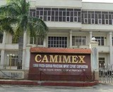 Không còn nhu cầu kinh doanh, Camimex Group (CMX) giải thể 1 công ty con
