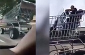 Video clip người chồng của năm đi xe đẩy khổng lồ đến siêu thị giúp vợ
