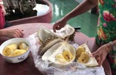 Khi Tây về Việt Nam ăn thử sầu riêng