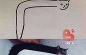 Bài tập về nhà: Hãy vẽ con mèo nhà em
