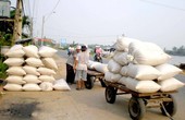Xuất khẩu gạo của Việt Nam gần đây tăng mạnh