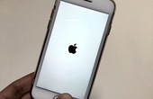 Khắc phục sự cố iPhone 8 hoặc 8 Plus bị treo logo khi khởi động