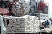 Lấy ý kiến về bỏ giá sàn xuất khẩu gạo
