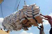 Giá gạo xuất khẩu còn 380USD/tấn