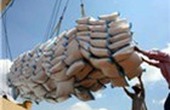 8 tháng, xuất khẩu hơn 5,1 triệu tấn gạo