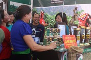 Lễ hội “hương sắc cà phê ” và công bố chỉ dẫn địa lý cà phê Sơn La
