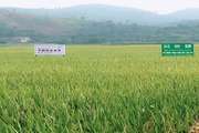 Phú Nhuận từng bước xây dựng hệ thống chính trị vững mạnh đáp ứng nhiệm vụ xây dựng nông thôn mới.