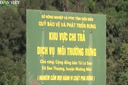 Hàng nghìn tỷ đồng dành cho những người giữ rừng ở Điện Biên
