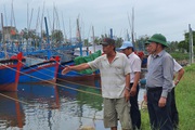 Bão số 9: Tỉnh Bình Định kêu gọi cứu hộ 8 tàu cá gặp nguy hiểm, phát tín hiệu cầu cứu trên biển Phú Yên