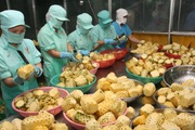 Con số đáng buồn: Hơn 80% sản phẩm rau quả Việt Nam xuất khẩu dưới dạng tươi, giá rẻ