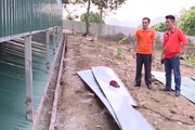 Vừa vào nghề, chủ trang trại Hòa Bình đã đầu tư 5 tỷ đồng chăn nuôi dê