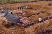 Trang trại dê DTH FARMT phối hợp với doanh nghiệp chăn nuôi dê quy mô lớn với vốn đầu tư từ 5-10 tỷ