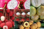 Tiềm năng xuất khẩu rau, quả sang Hoa Kỳ