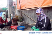 Hải sản ở Quảng Ninh "bí" đầu ra vì dịch Covid-19
