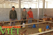 Hội Nông dân Sơn La: Cầm tay chỉ việc, giúp hội viên phát triển kinh tế
