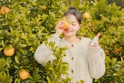 Quýt "chum vàng" Hàn Quốc có gì đặc biệt mà lại đắt đến thế?