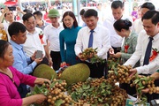 7 tháng đầu năm, Sông Mã xuất khẩu 80 tấn nhãn sang Trung Quốc