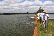 Hải Dương: Dạy nghề + hỗ trợ lập mô hình liên kết, xuất hiện nhiều nông dân giỏi