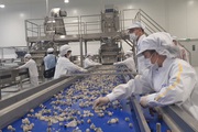 Nhà máy chế biến hoa quả tươi hiện đại nhất Tây Bắc chuẩn bị hoạt động