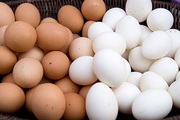 Vì sao trứng gà có hai màu và lý do thật bất ngờ