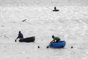 Khánh Hòa: Ban đêm dân ra biển bơi bắt con gì bé như cọng tăm, trong như thủy tinh mà kiếm tiền triệu mỗi ngày?