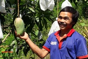 Yên Châu sản xuất nông nghiệp theo hướng hàng hóa