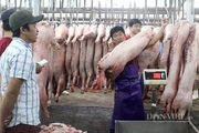 “Ông trùm” chăn nuôi heo CP giảm giá heo hơi, lý giải vì sao có giá thành 45.000 đồng/kg