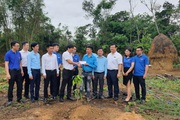 Đoàn thanh niên Agribank khu vực miền Trung hưởng ứng tháng thanh niên