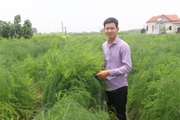 Bắc Ninh: Trồng "rau vua", mít Thái, thả trai nhả ngọc dưới ao, chàng nông dân trẻ giàu nhanh