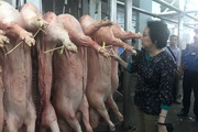 Kiểm tra an toàn thực phẩm: Chưa quy định cụ thể việc heo bị tiêm thuốc an thần! (bài cuối)