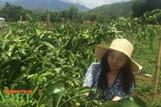 Lai Châu: Nỗ lực kéo giảm tỷ lệ hộ nghèo ở một xã vùng cao