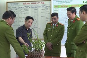 Phú Thọ: Hoa lan đột biến HO mua cây có hoa hẳn hoi, nhưng vì sao vẫn bị lừa hàng trăm triệu đồng?