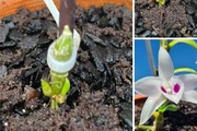 Đầu tư lan đột biến, "liều" chưa được "ăn nhiều" thì nhà lầu, xe hơi đã không cánh mà bay
