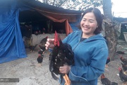 Lai Châu: Nuôi "lung tung" cả ngàn con gà, con vịt, con ngan, một nông dân vùng cao có của ăn của để