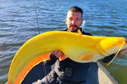 Ngư dân bất ngờ khi bắt được chú cá màu vàng óng, có thể nặng tới 136kg