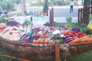 Danh mục sản phẩm nông nghiệp chủ lực của tỉnh Quảng Nam gồm những loại nào?