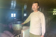 Một nông dân tỉnh Quảng Bình nuôi lợn theo kiểu "chẳng giống ai", ấy thế mà không dịch bệnh còn thu tiền tỷ