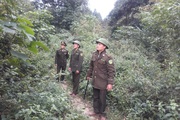 Nông thôn Tây Bắc: Lai Châu làm tốt dịch vụ môi trường rừng