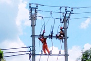 Công ty điện lực Hoà Bình: Thực hiện chuyển đổi số phát triển mạng lưới điện 