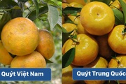 Nhận diện 6 loại trái cây Trung Quốc đang bán tràn lan trên sạp hoa quả Việt