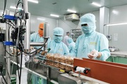 Gói hỗ trợ 26.000 tỷ “nói không” với doanh nghiệp có nợ xấu: Phải chấp nhận để sàng lọc doanh nghiệp yếu