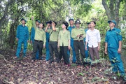 Phù Yên làm tốt công tác quản lý, bảo vệ rừng