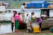 Đồng Nai: Con cá, mớ rau chở nặng ân tình của dân nghèo miền núi gửi về vùng dịch