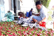 Long An: Có luồng xanh, sản xuất 3 tại chỗ nhưng doanh nghiệp đâu ham vì rủi ro rải đầy trên đường