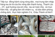 Kiên Giang: Cán bộ Hội giúp nông dân tiêu thụ nông sản qua Zalo, Facebook